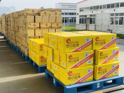 洪水无情，千赢国际有情——千赢国际捐赠物资助力抗洪救灾